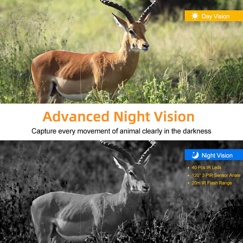 best deer trail camera night vision
