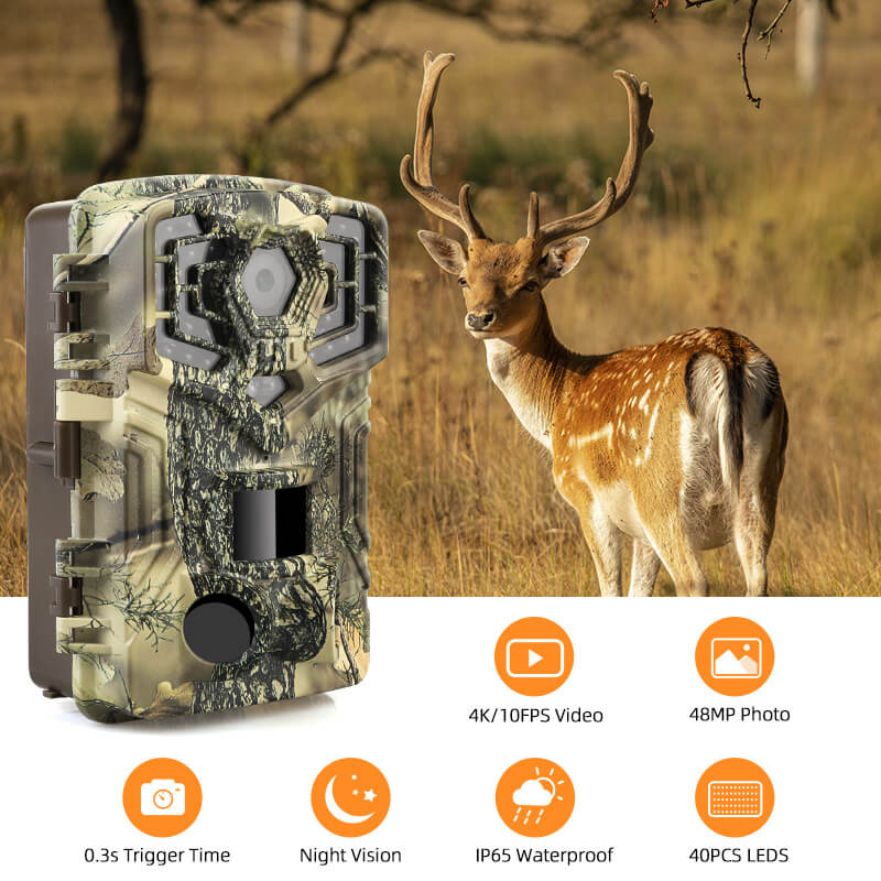 best deer trail camera