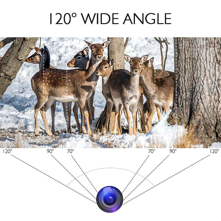 Observe animals camera 120 degree lens