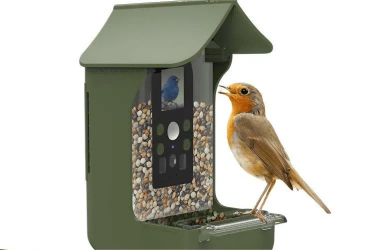What Is a Bird Feeder Camera?