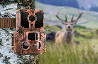 Hunting Trail Camera Tips and Tricks